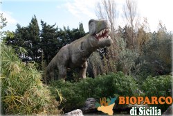 Bioparco di Sicilia - tyrannosaurus rex